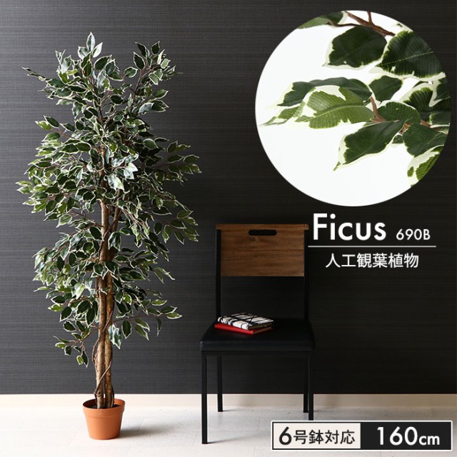 お買い求めしやすい価格 人工 観葉植物 高さ 160cm 6号鉢対応 フェイクグリーン フィカス 人工 造花 フェイク グリーン シンプル オフィス おしゃれ 観葉 植物 鉢 残りわずか 在庫限り超価格 Themarketleaders Co Il お買い求めしやすい価格 人工 観葉植物 高さ 160cm 6号鉢対応 フェイクグリーン フィカス 人工 造花 フェイク グリーン シンプル オフィス おしゃれ 観葉 植物 鉢 残りわずか 在庫限り超価格 Themarketleaders Co Il