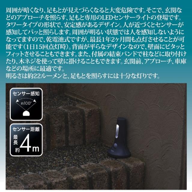 足もと安心 防雨 センサーライト ASL-3305