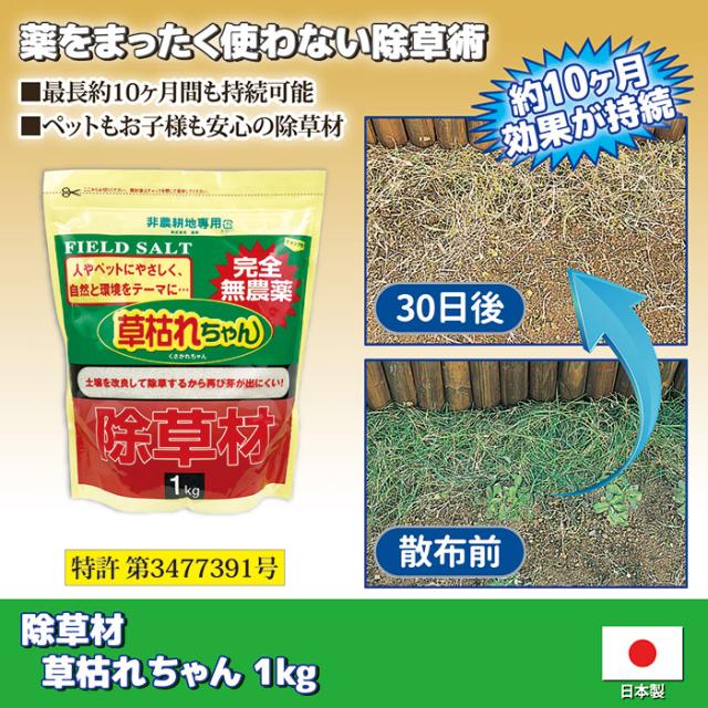 除草材 草枯れちゃん 1kg