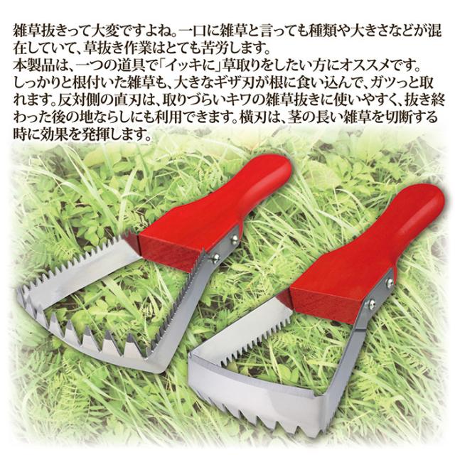 ラク〜に草取り SV-6971