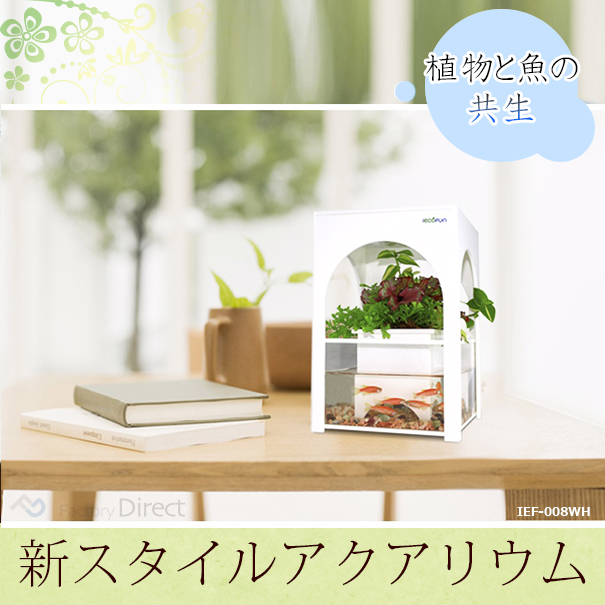 激安単価で Ief 005bk アクアリウム水槽ブラックベース 着脱式ledライト付水槽 熟練した職人の手作り品 ハンドメイド 水槽 インテリア ガーデニング 新入荷 Centrodeladultomayor Com Uy