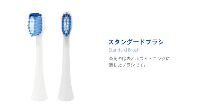 替えブラシ単品スタンダードブラシ2本入電動歯ブラシプロフェッショナルビューティーケアMIGAKI用Areti(アレティ)tb1731