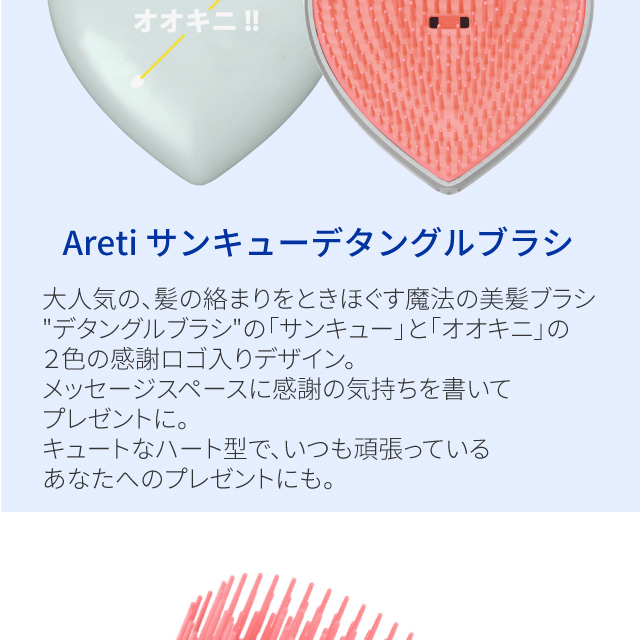 ヘアブラシ携帯用デタングルブラシサンキュー多層設計スカルプケアマッサージAreti(アレティ)739WH/BL