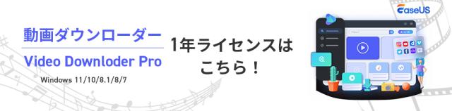 動画ダウンローダー EaseUS Video Downloader 1年間ライセンス 復元 リカバリー 音楽 MP3変換