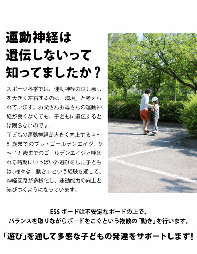 エスボード ESSBOARD プロテクター3点セット付き スケボー
