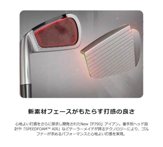 【レフティ】【特注スペック】【2025モデル】テーラーメイド NEW P790 アイアン 単品（#4、#5、AW）　シャフト：N.S.PRO MODUS3 TOUR 105 スチール TaylorMade
