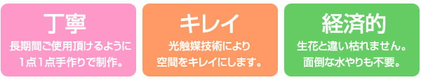 手作り　光触媒　経済的