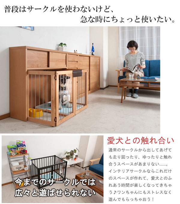 愛犬とのふれあい