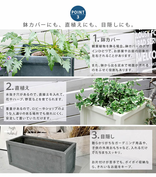 鉢カバーや直植え、目隠しに