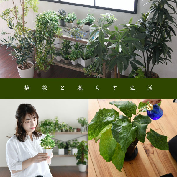 植物と暮らす生活