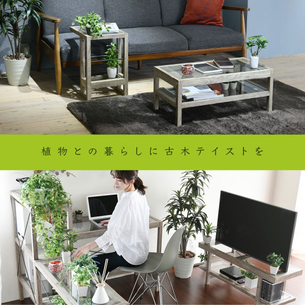 古木テイスト