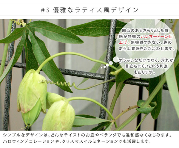 優雅なラティス風デザイン