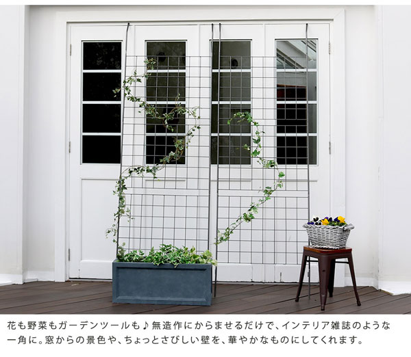 無造作に絡ませるだけでインテリア雑誌のような一角に