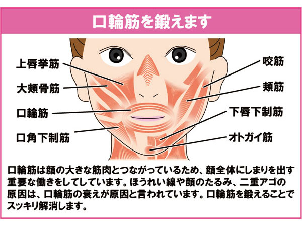 口輪筋を鍛えます