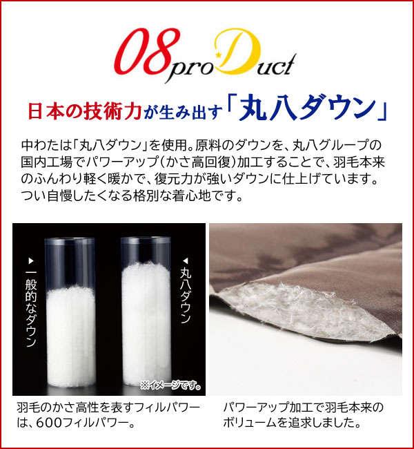 丸八ダウン