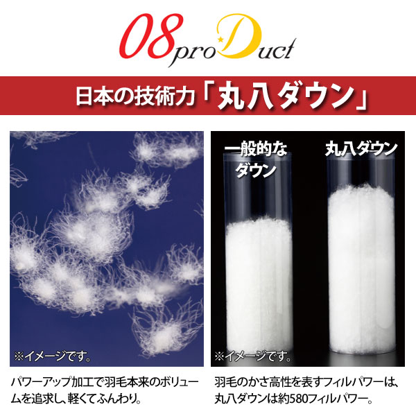日本の技術力「丸八ダウン」
