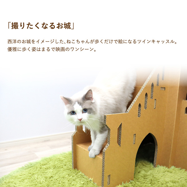 撮りたくなるお城