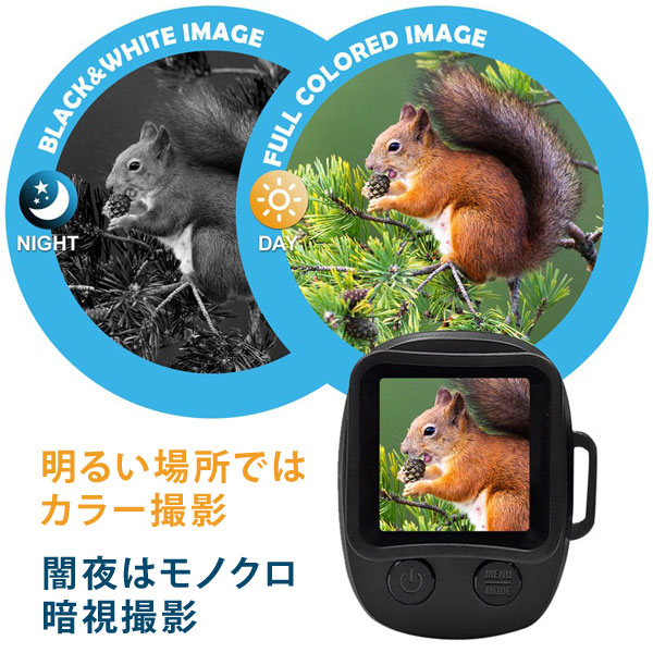明るい場所ではカラー撮影/闇夜はモノクロ暗視撮影