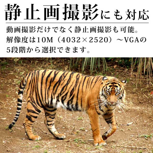 静止画撮影にも対応