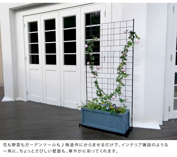 無造作にからませるだけで、インテリア雑誌のような一角に。