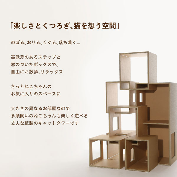 楽しさとくつろぎ、猫を想う空間