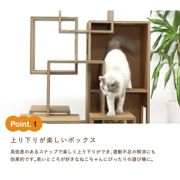 上り下りが楽しいボックス