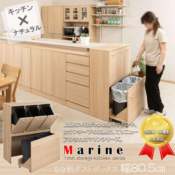 5分別ダストボックス 幅80.5cm MARINE マリンシリーズ 水洗いOKペール付 ゴミ箱 FY-0170-NS