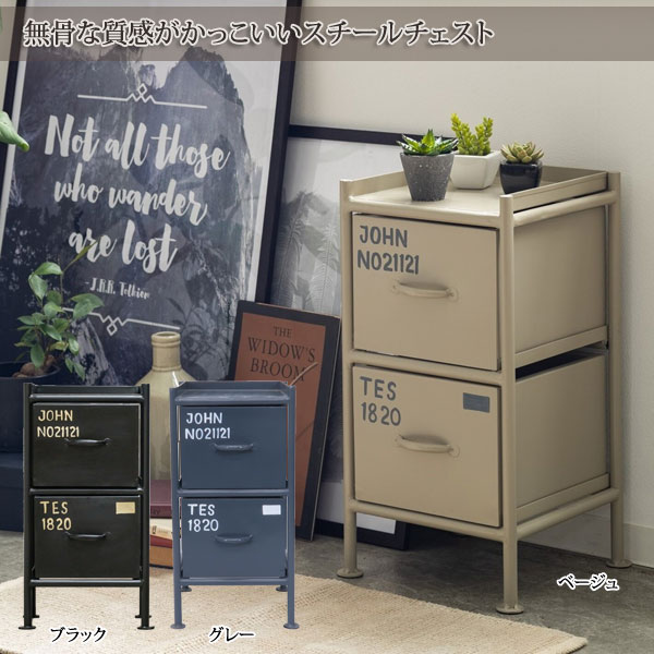 縦型2杯引出チェスト MSG スチールチェスト 幅30cm ienowa products msg2d-LI