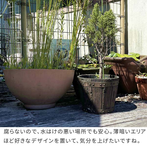 腐らないので水はけの悪い場所でも安心