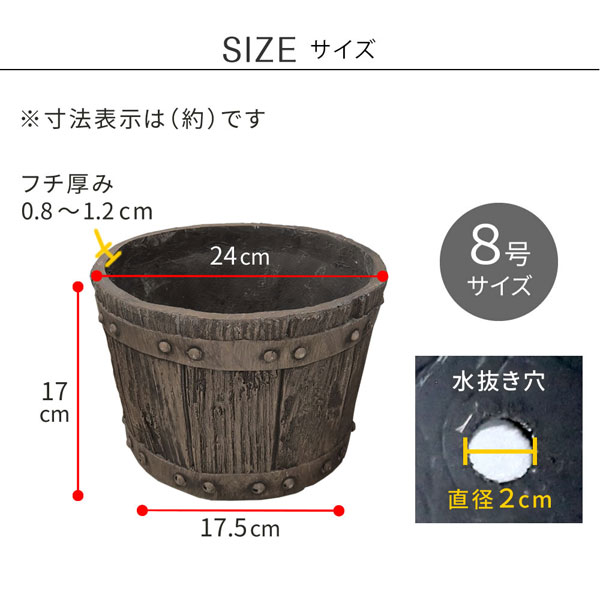 サイズ
