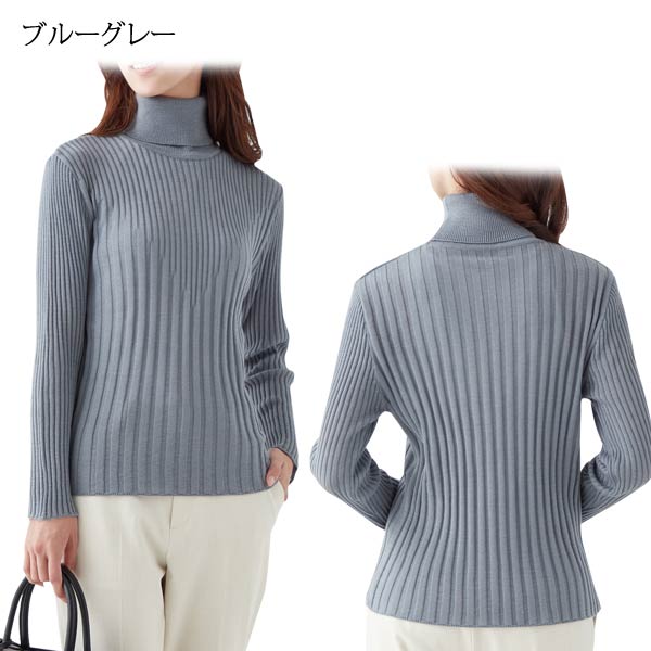 着用例/ブルーグレー