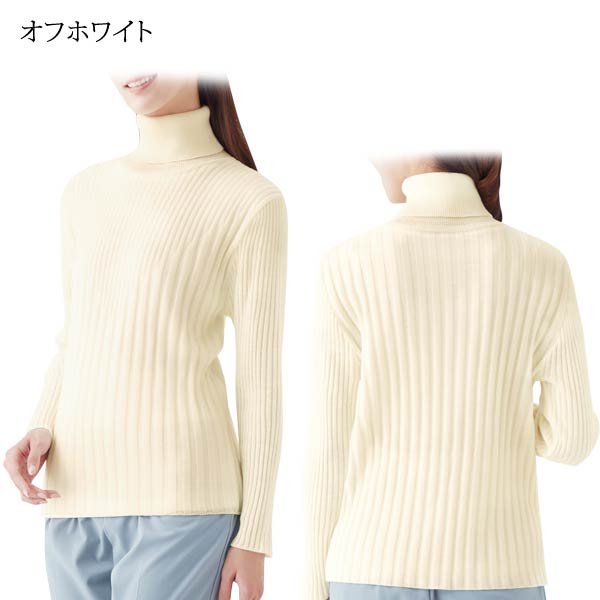 着用例/オフホワイト