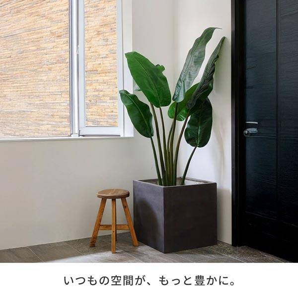 いつもの空間がもっと豊かに