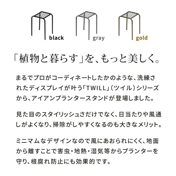 植物と暮らすをもっと美しく