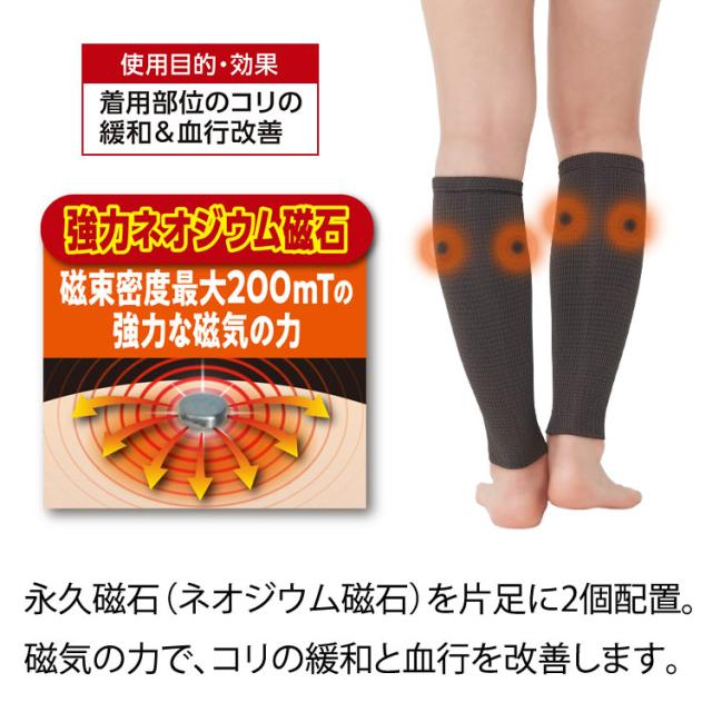 永久磁石(ネオジウム磁石)を片足に2個配置