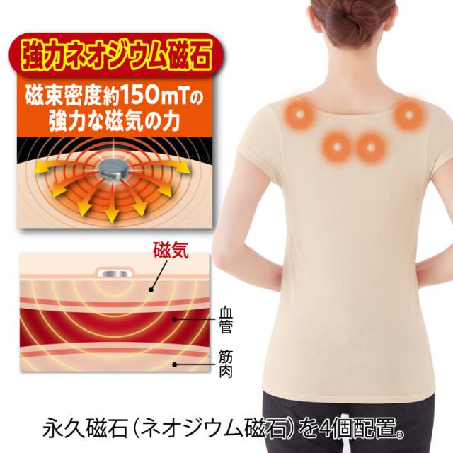 永久磁石(ネオジウム磁石)を4個配置