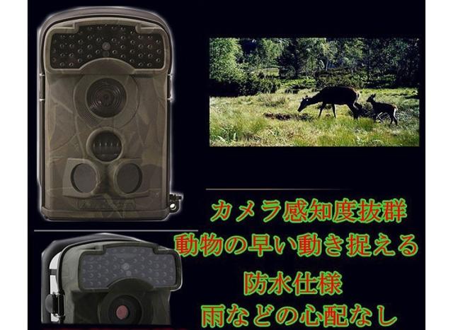 Expectation ゴミ不法投棄監視 野生動物観察 トレイルカメラ 44個暗視led付 Ltl 5310 暗視効果抜群 視led使用 野生動物調査 カメラ Ltl5310 人気定番 Farmerscentre Com Ng