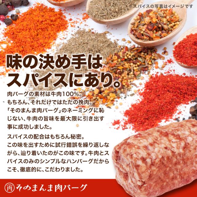 そのまんま肉バーグ