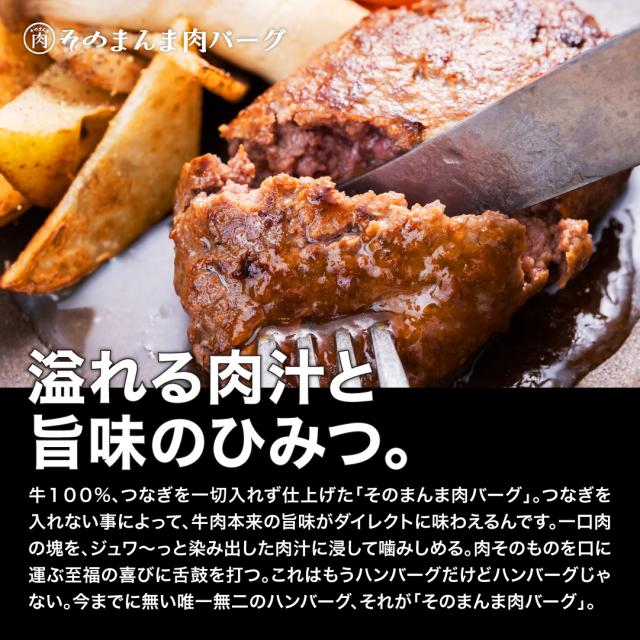 そのまんま肉バーグ