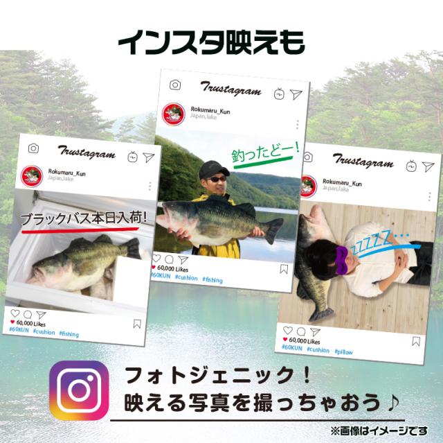 ROKUMARUKUN 60KUN 75cm ブラックバス クッション | バス釣り