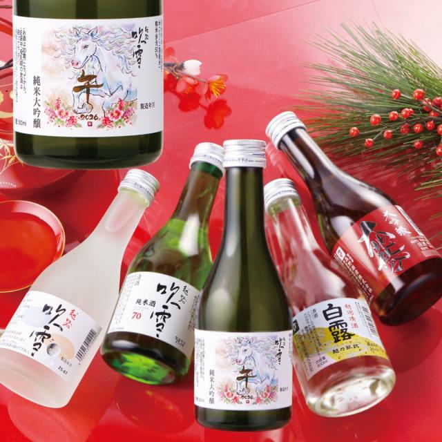 日本酒 飲み比べセット 300ml 5本