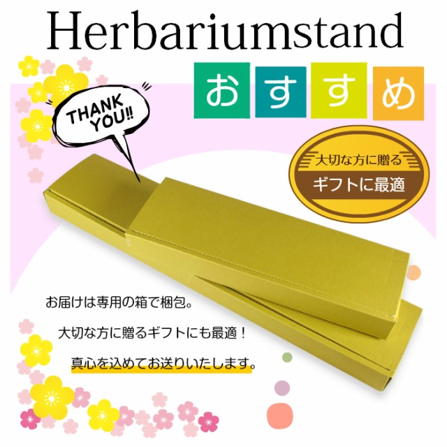 通販在庫あ 置き型 LEDインテリア 幅70cmX奥行9cm フリーボトルの通販はau PAY マーケット - 遊夢木や 5号店|商品ロットナンバー:456388681 限定SALE正規品