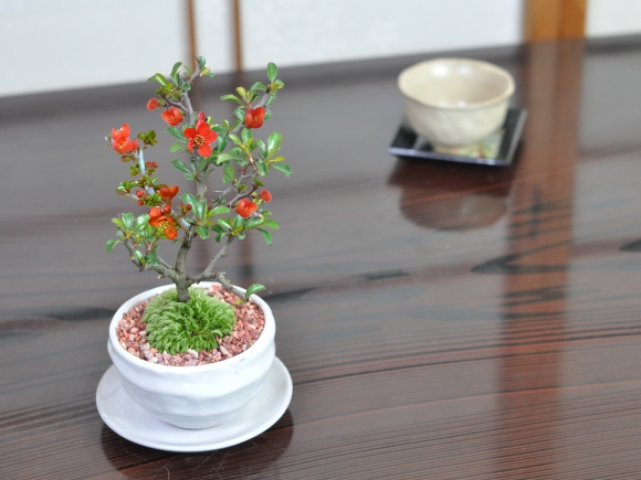 ミニ長寿梅と神戸プリン