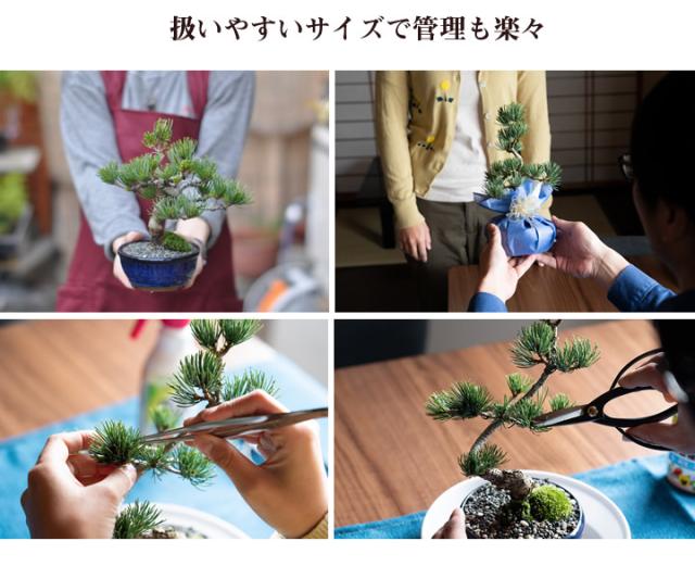 扱いやすいサイズで管理も楽々