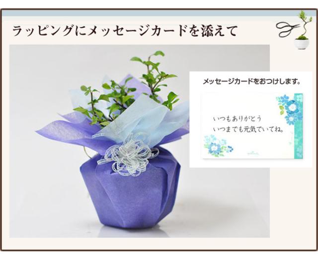 4ラッピングにメッセージカードを添えて