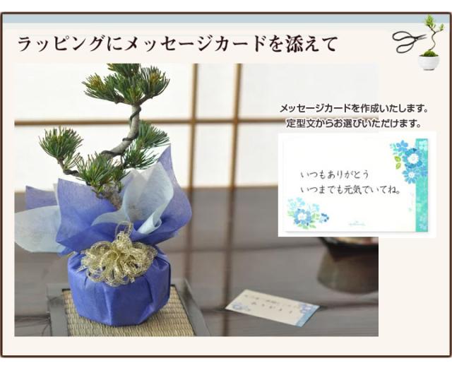 4ラッピングにメッセージカードを添えて