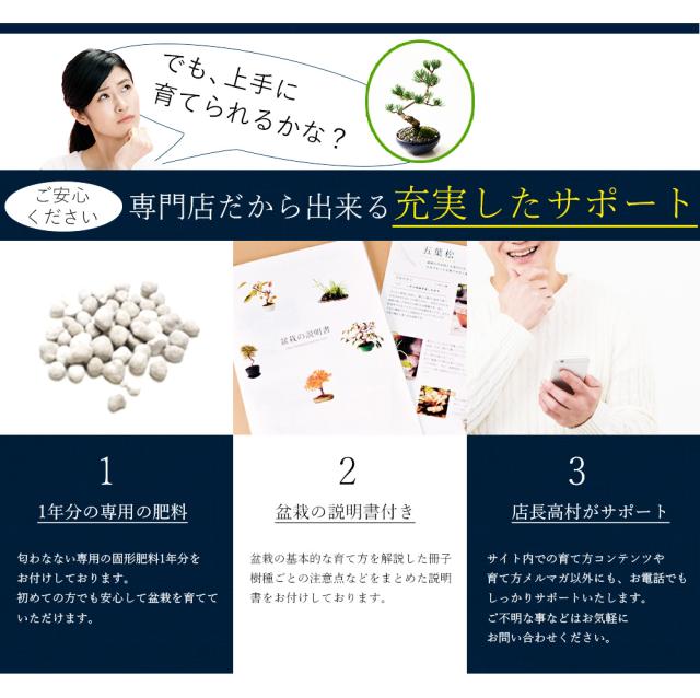 専門店だから出来る充実したサポート