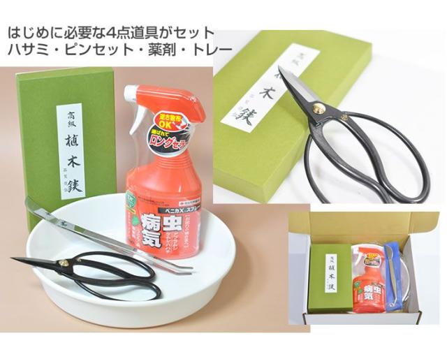 はじめての盆栽セット