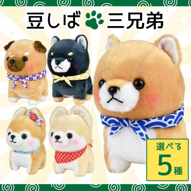 柴太郎 生後51日目の柴犬子犬に成犬2歳チビーズ4匹がド緊張で空回りw