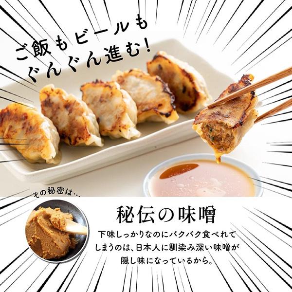 静岡の人気店「しるし」の特製餃子(冷凍)